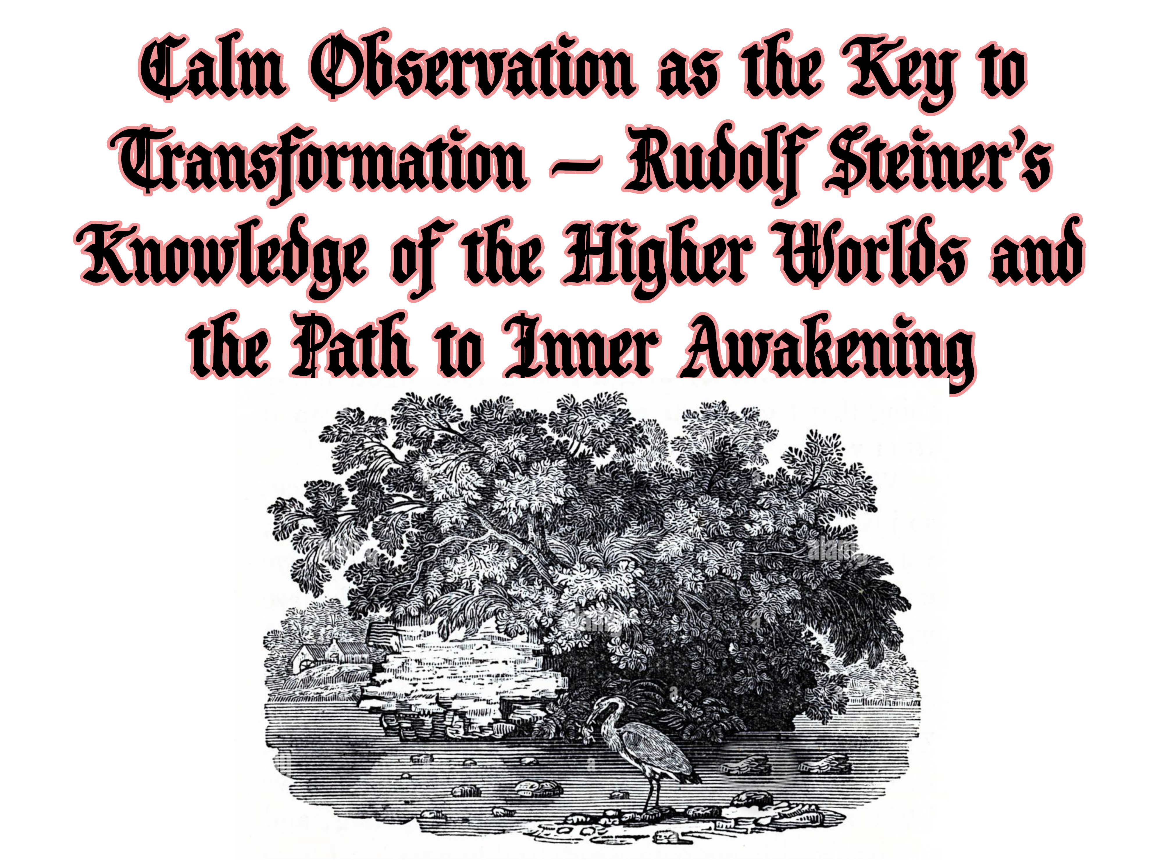 Calm Observation as the Key to Transformation — Rudolf Steiner’s Knowledge of the Higher World and the Path to Inner Awakening