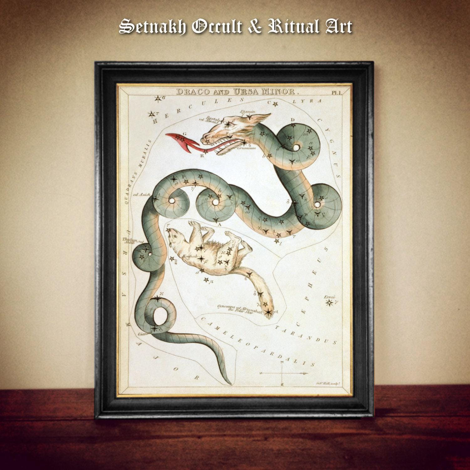 Draco and Ursa Minor print, Star Constellations art, Zodiac, fantasy art, antiqued poster, celestial home decor, fantasy art #CE3.1