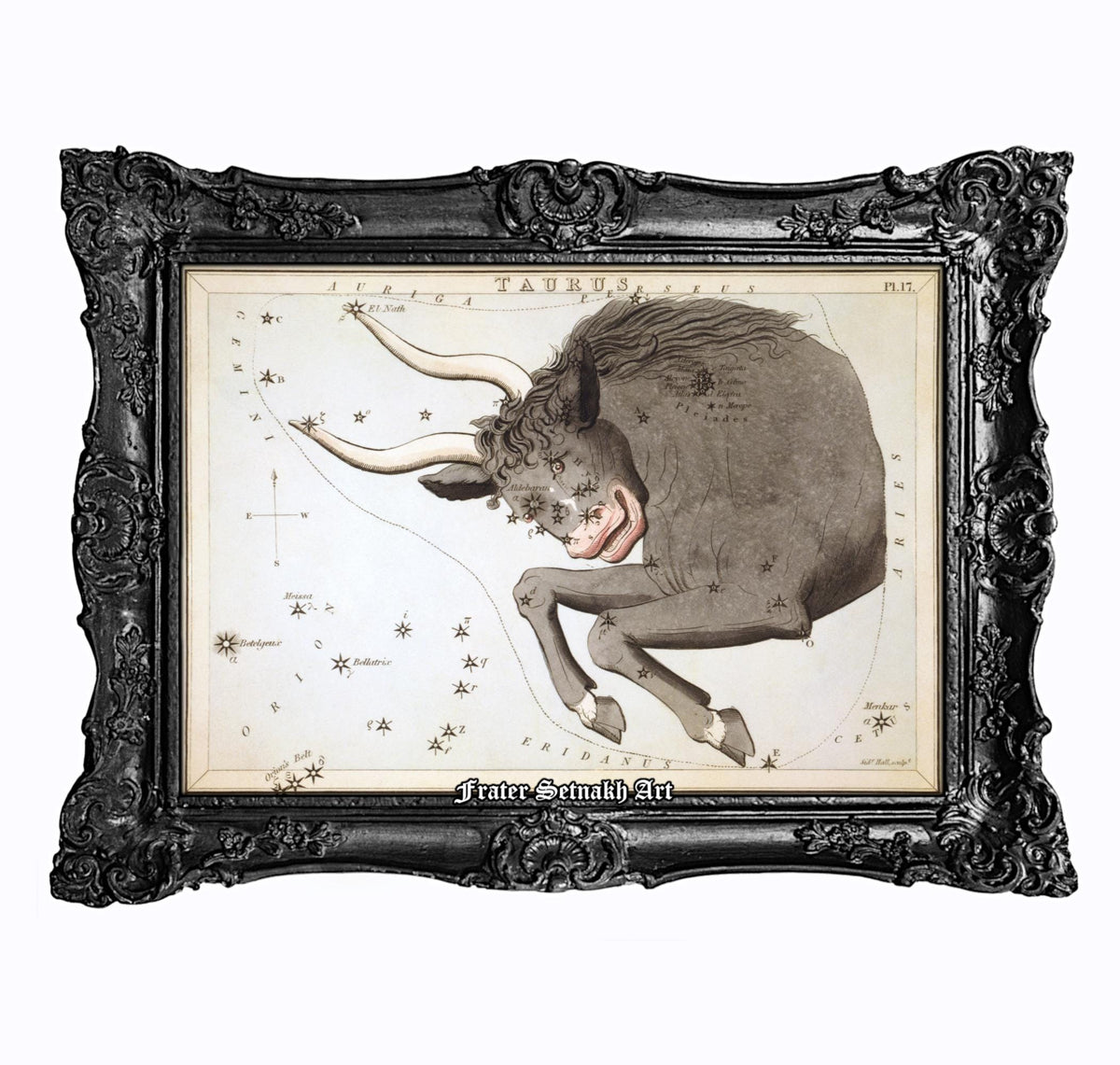 The image is a framed illustration of a bull, depicting a detailed and intricate depiction of the animal.