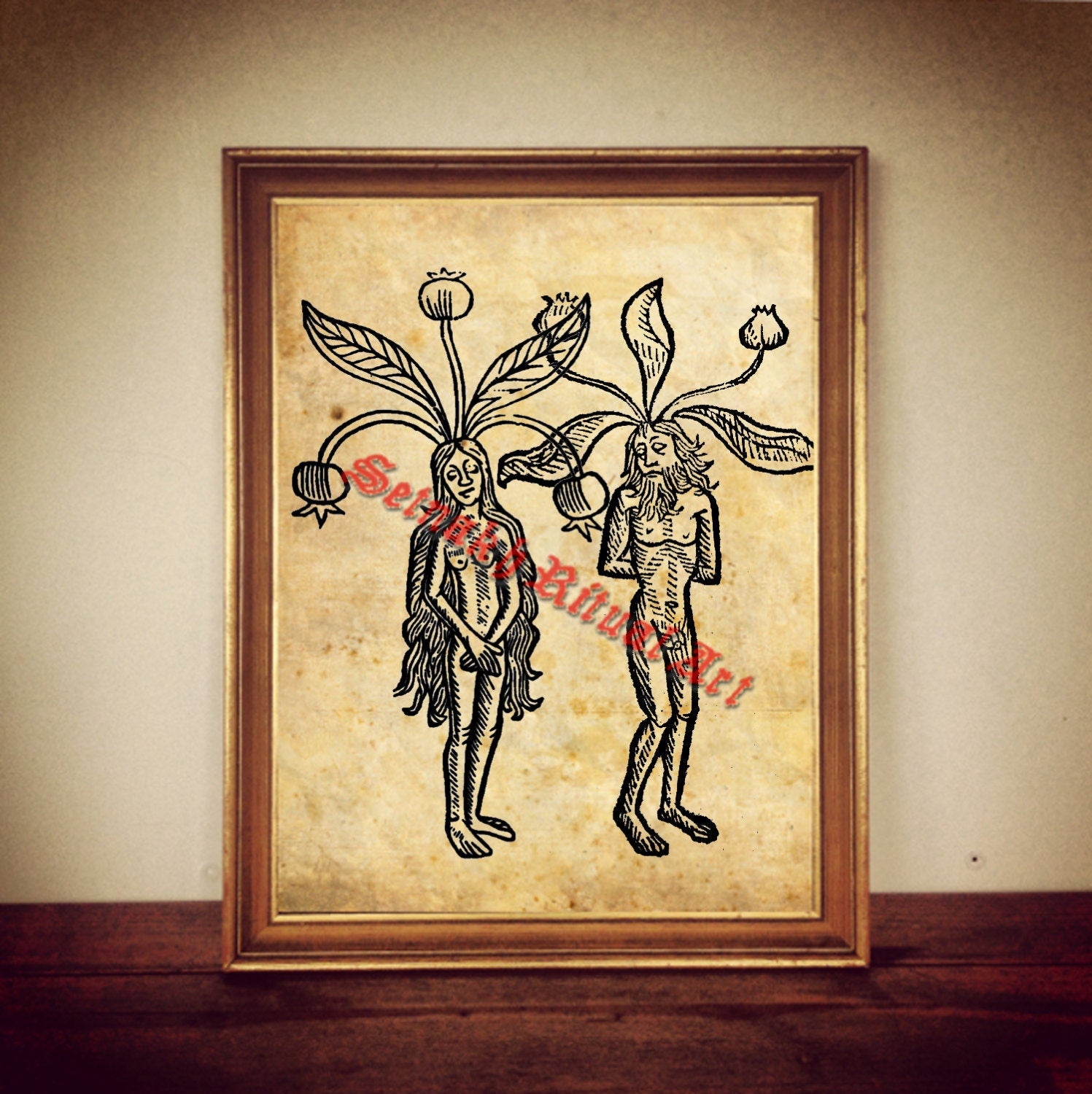 213# Mandrake print, witch plant illustration, mandragora poster, occult print, witch home decor, magick print, kitchen wall decor, herbs
