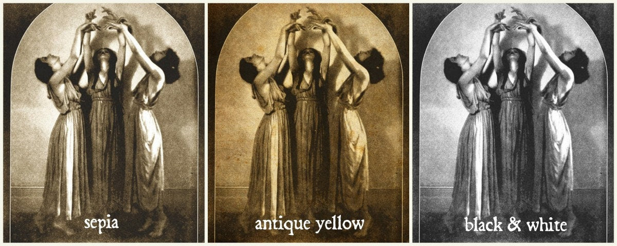 Three Witches print, vintage photography, dark, occult poster, gothic home decor, witchcraft, witch print, wiccan art #W98