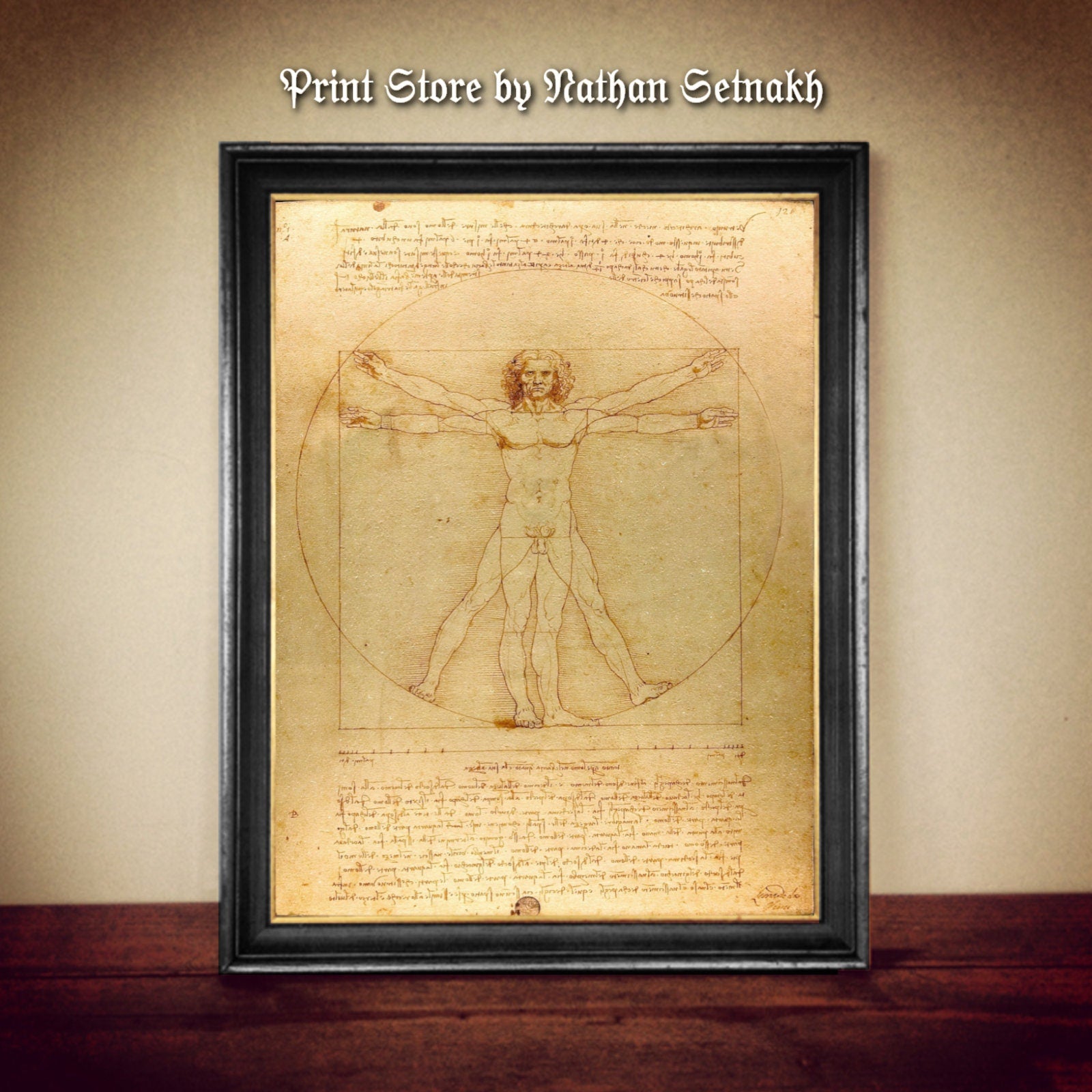 The Vitruvian Man by Leonardo da Vinci, a symbol of harmony, a canon of proportions and the epitome of perfection print, poster #PR9
