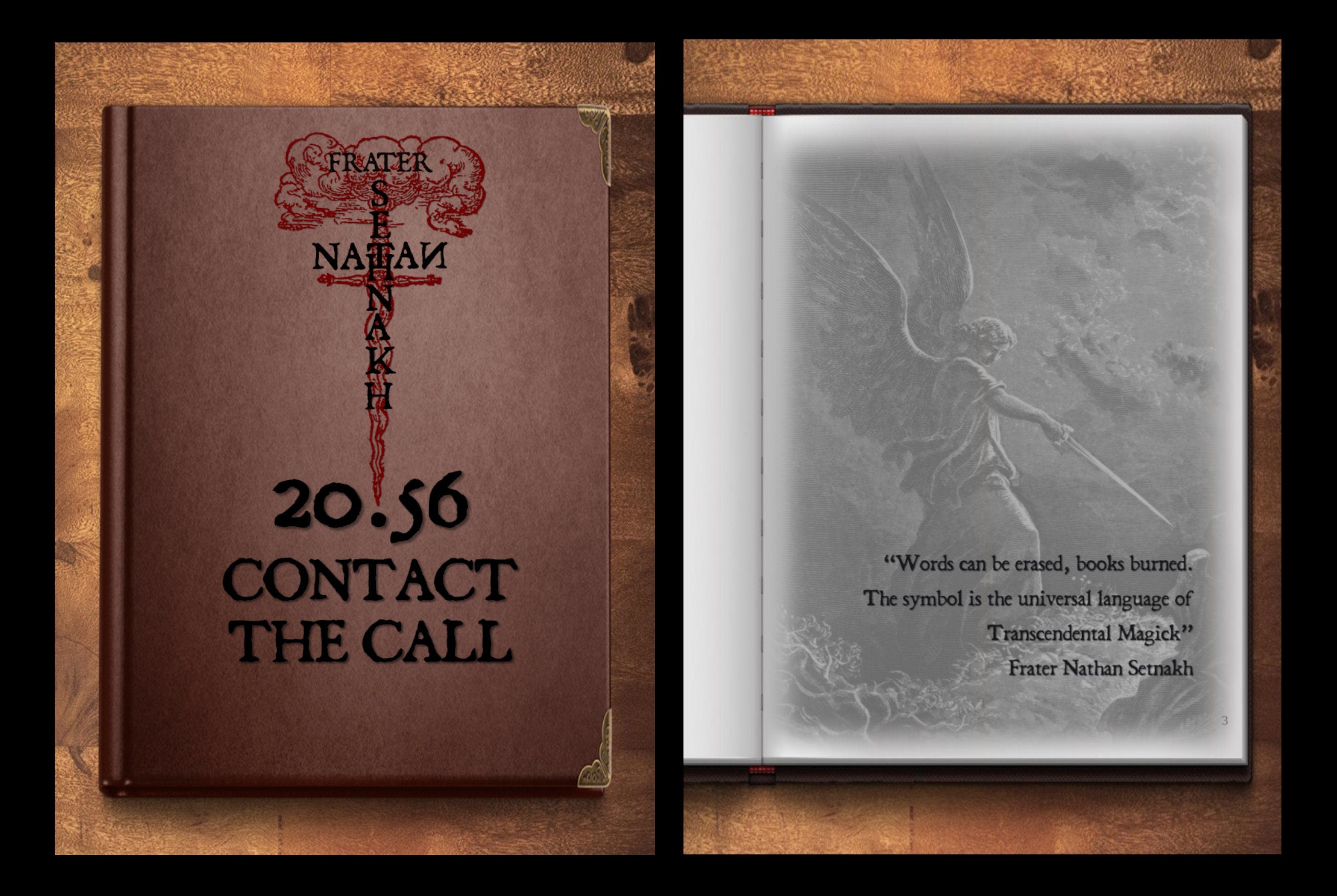 MY BOOK: "20.56 - Contact. The Call" by Frater Nathan Setnakh | Angels, The Ancient Ones, Fallen Angels, Extraterrestrials, Ancient Aliens