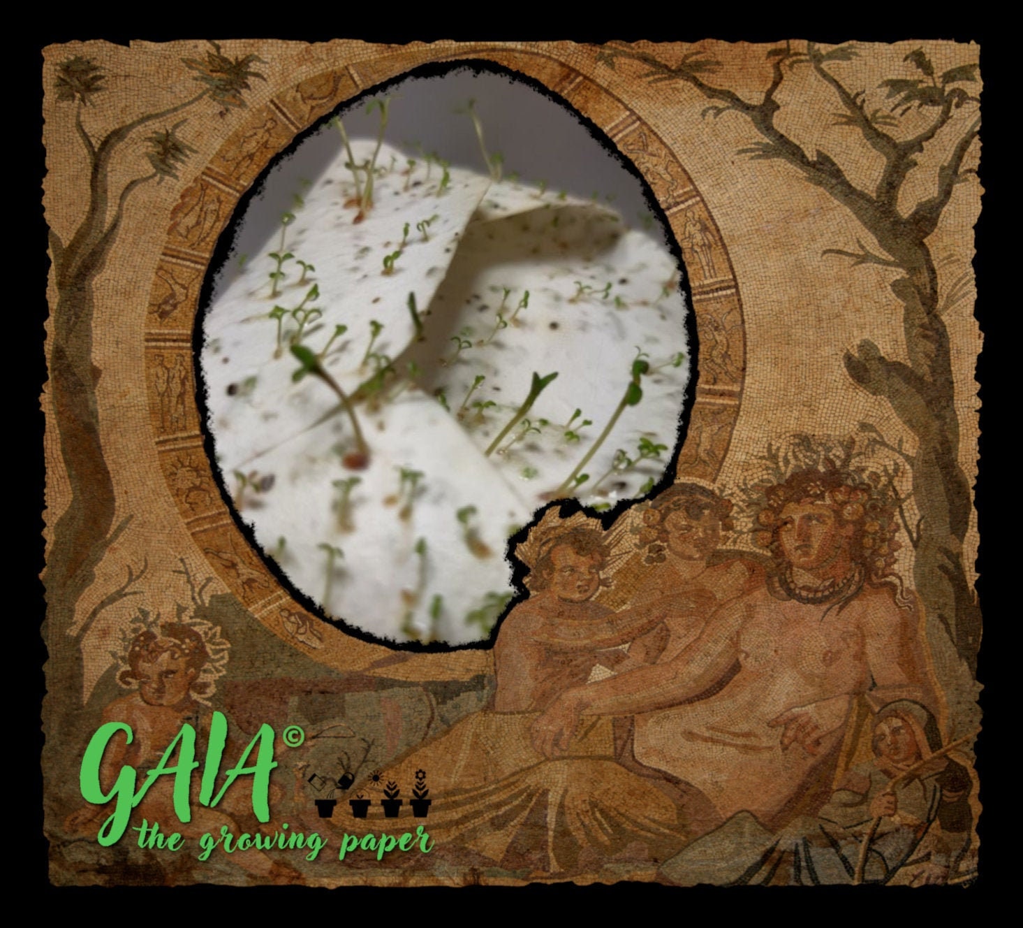 Send the Message to the Mother Earth, Magia Naturalis! Growing, hand made paper with seeds! Let your words bloom! Nature, Organic, Bio, Eco