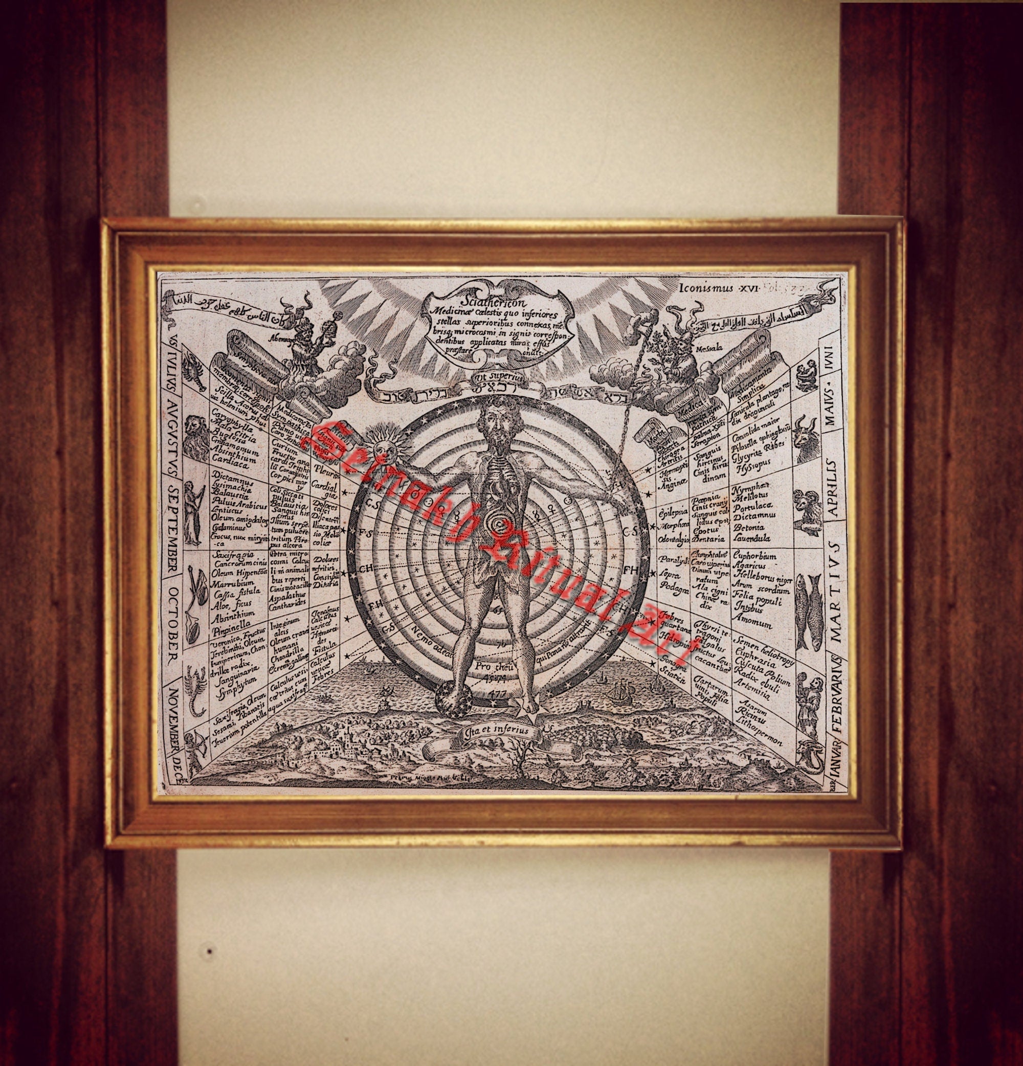 Astronomical chart print, astronomy, occult poster, zodiac art, alchemical illustration, occult poster, magic art, esoteric home decor #504