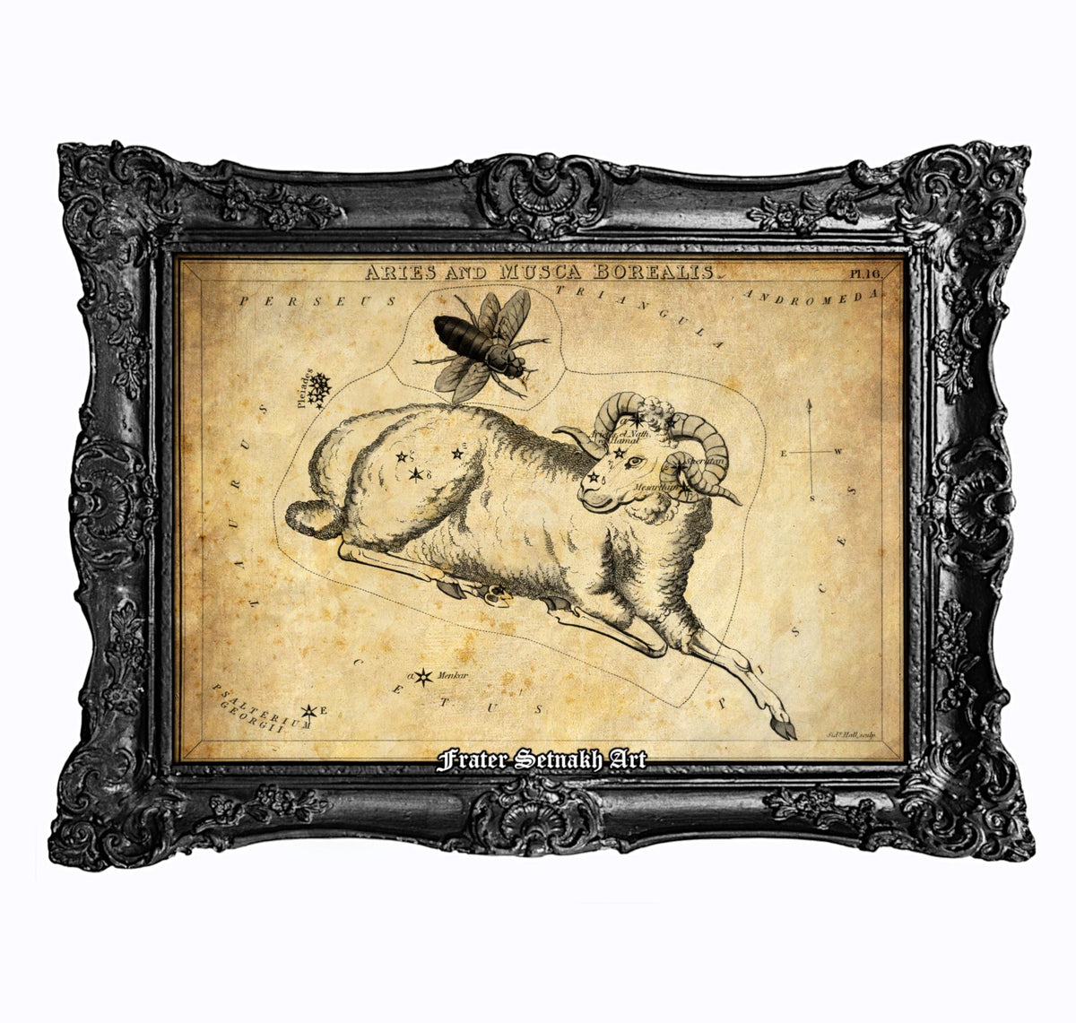The image is a framed vintage astrological chart depicting the zodiac sign of Aries.