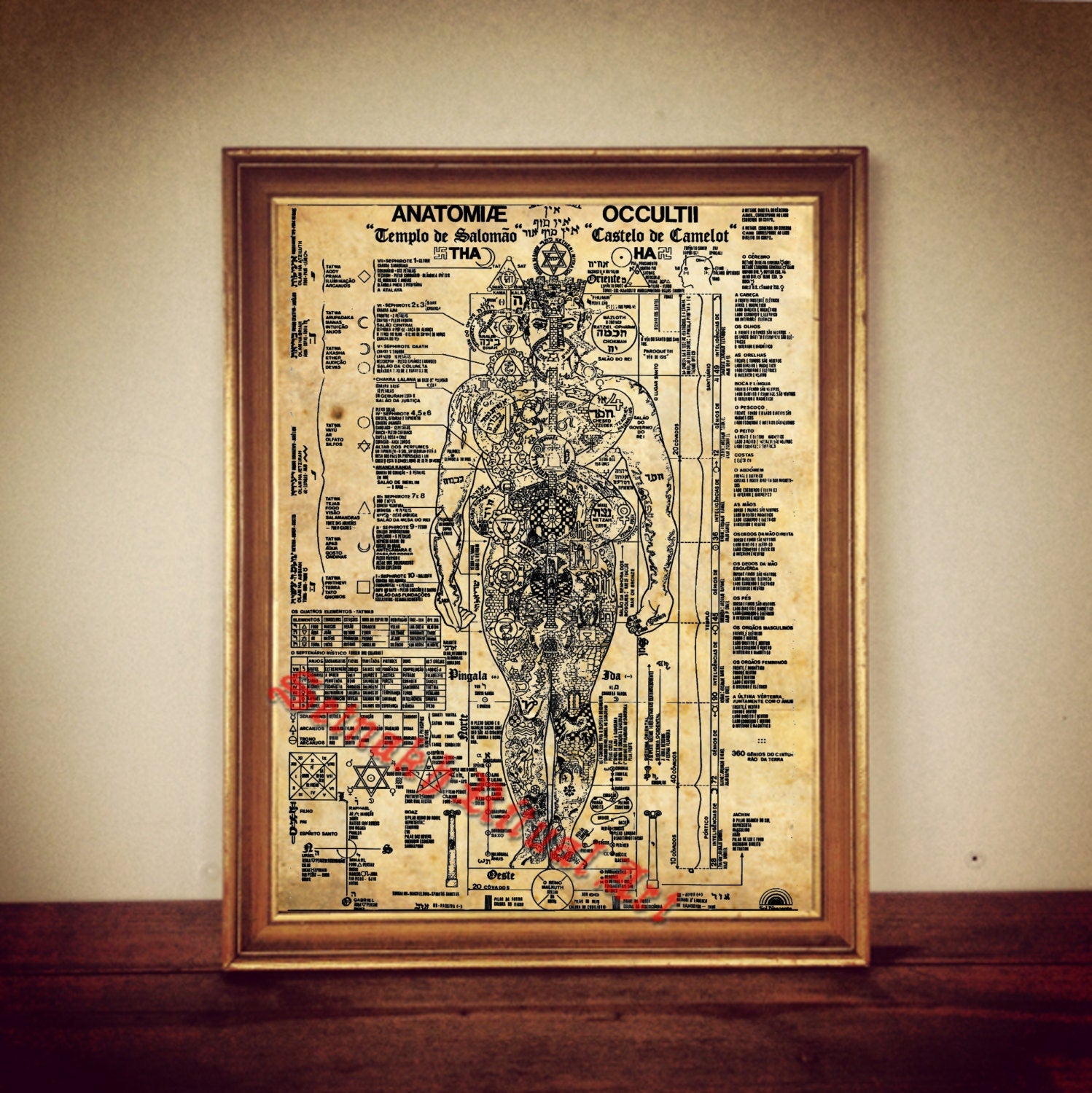 Occult anatomy of human poster, magic anatomical canvas print, medieval illustration, occultism, hermetic medicine, antique home decor #128
