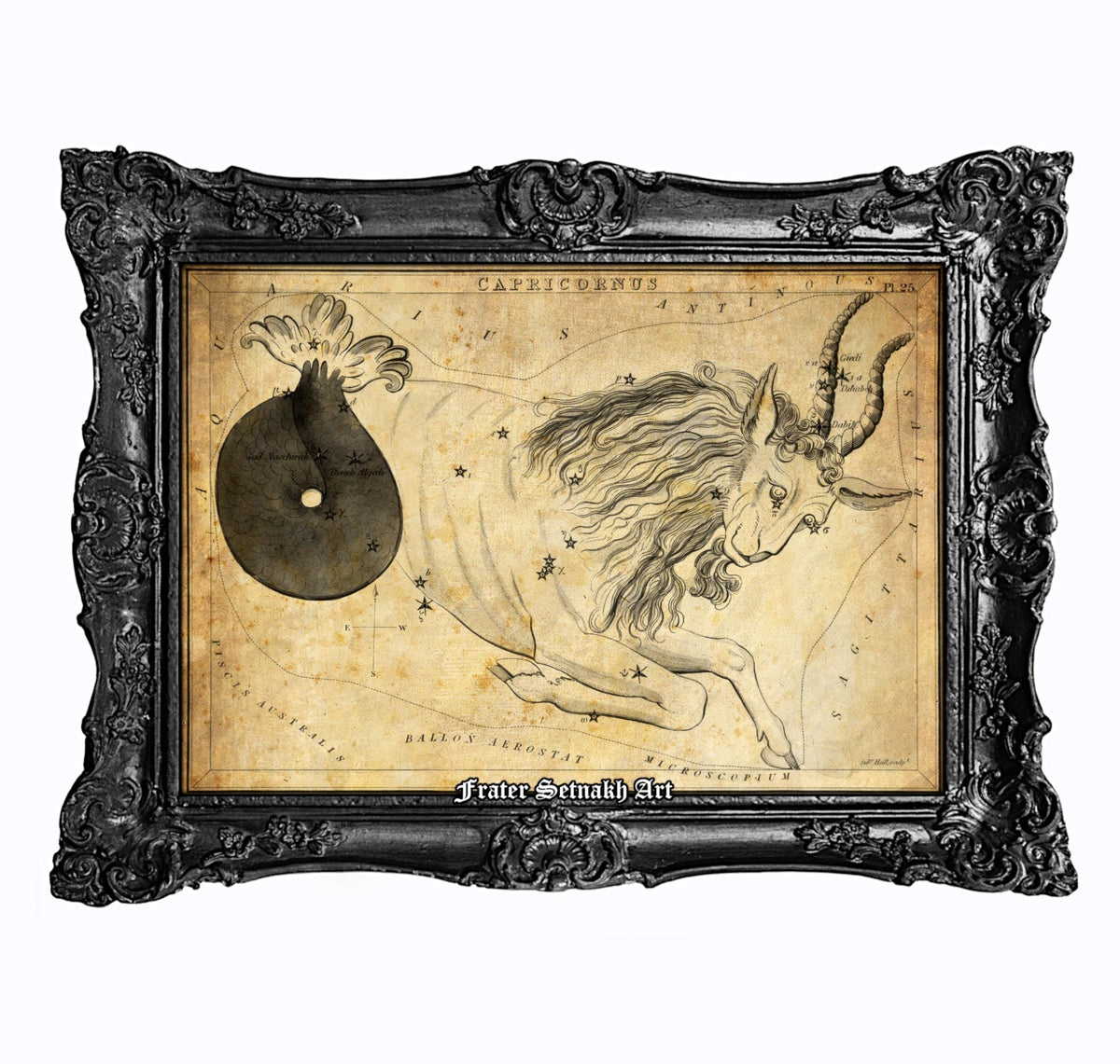 The image is a framed vintage astrological chart depicting the Capricorn zodiac sign.