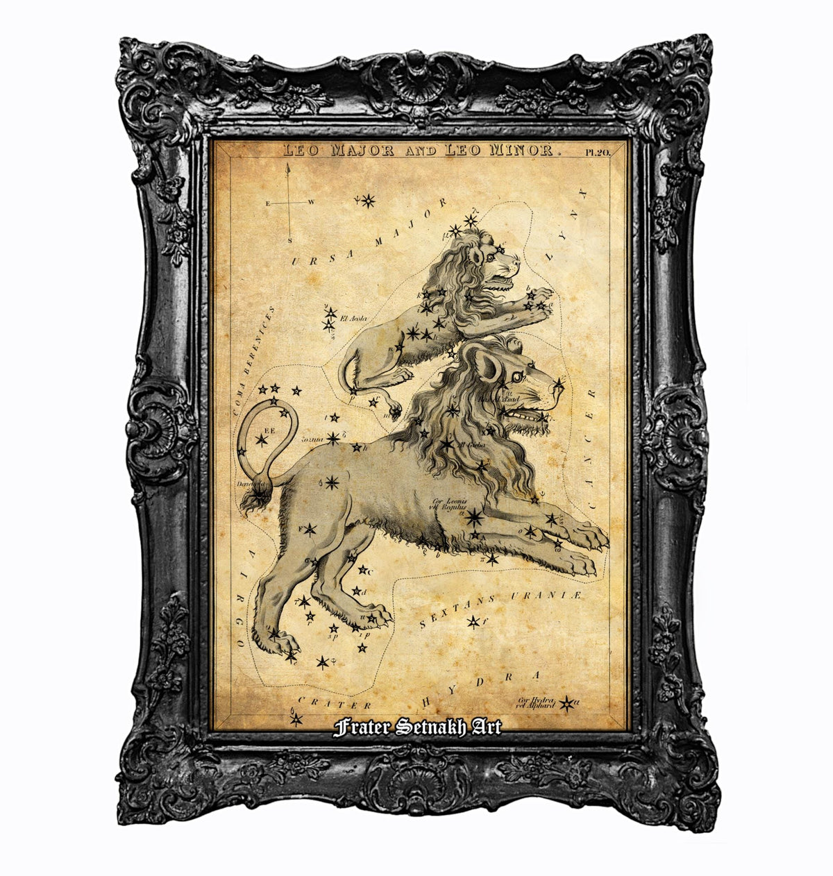 The image is a framed vintage astrological chart depicting the zodiac sign of Leo.
