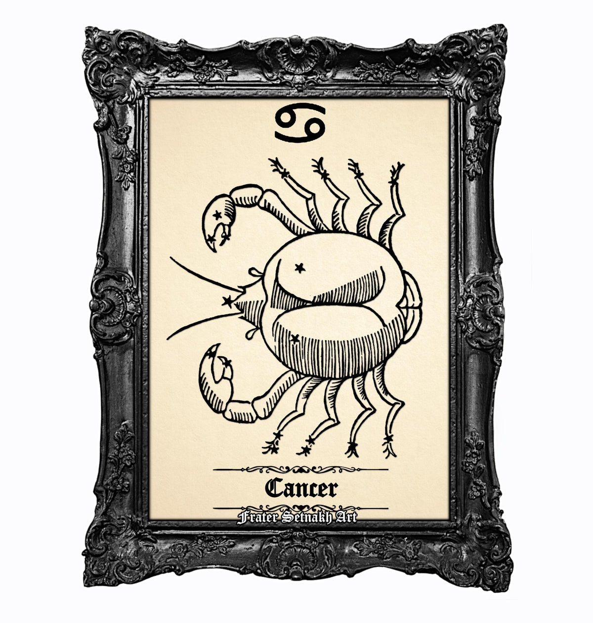 a framed illustration of a crab, which is a symbol associated with the zodiac sign Cancer.