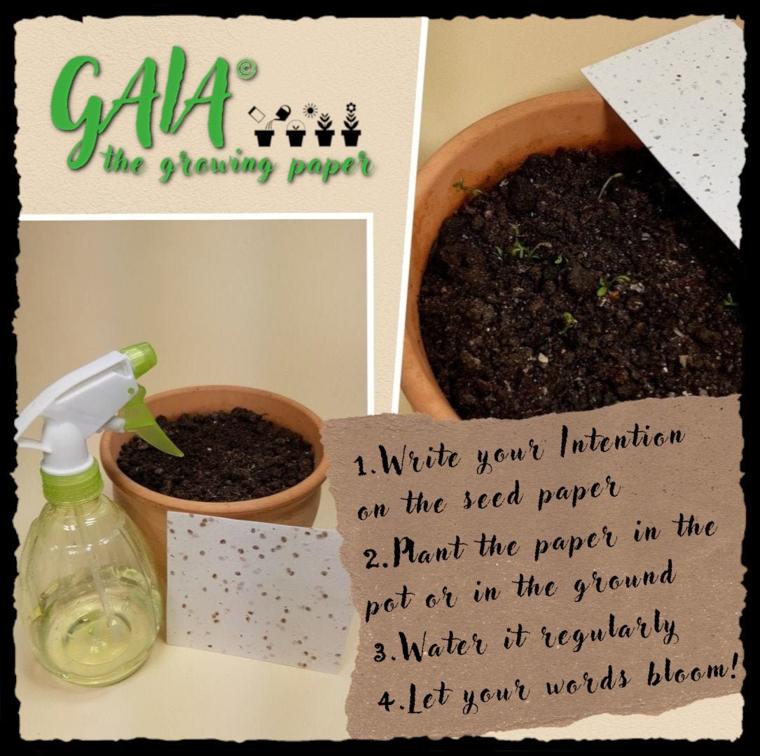 Send the Message to the Mother Earth, Magia Naturalis! Growing, hand made paper with seeds! Let your words bloom! Nature, Organic, Bio, Eco
