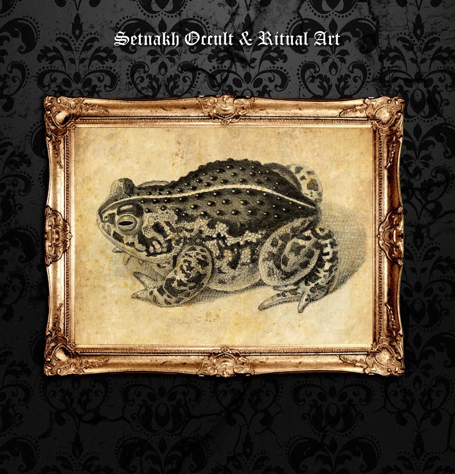 Toad - symbol of good luck and transition • spirit animal print • witchcraft poster • magic art • magic gift • pagan, wiccan home decor #119