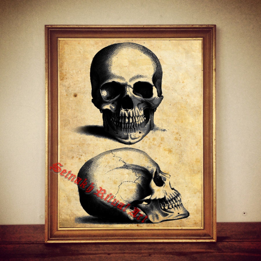 Human skull print, anatomical vintage poster, occult art, skeleton decor, witchcraft, witch home, magick, medieval, satanic wall art #29