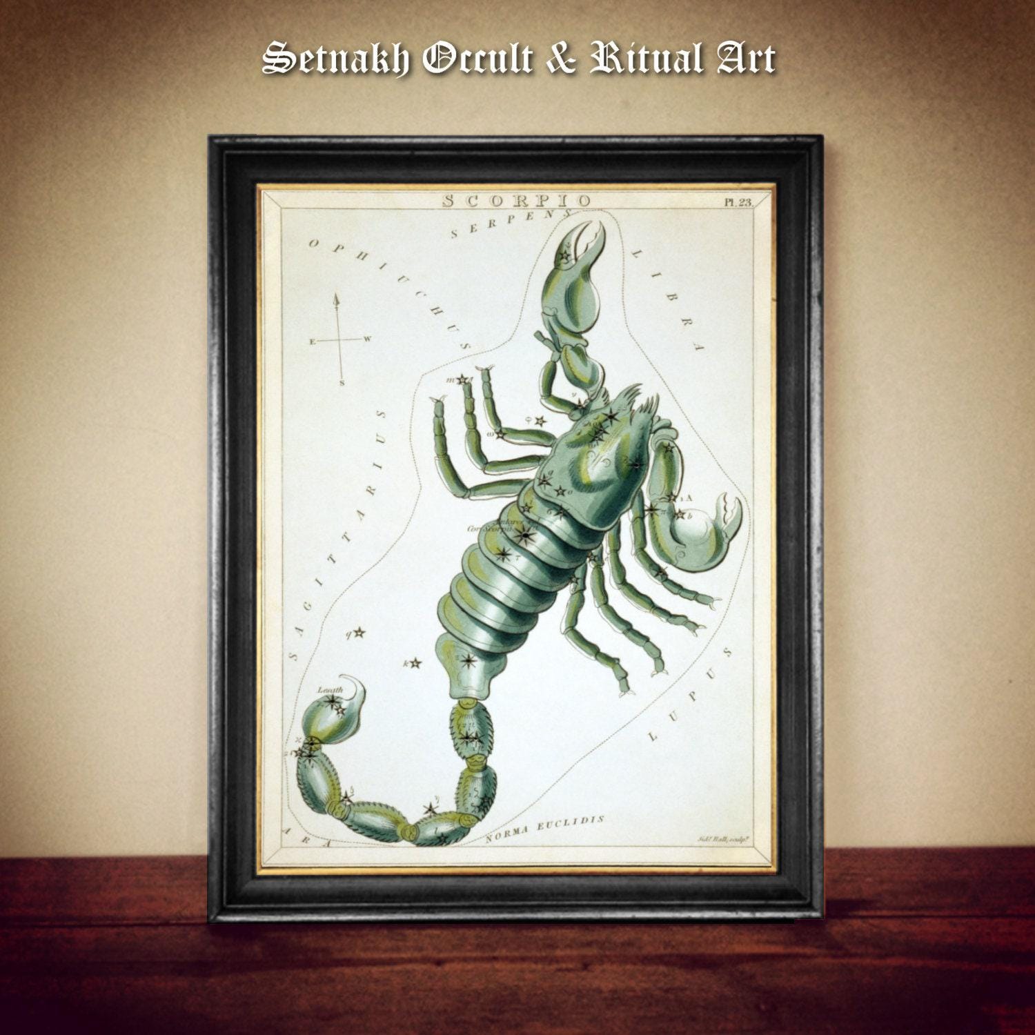 Scorpio Constellation print, Star art print, Zodiac, fantasy art, antiqued poster, celestial home decor, horoscope, sky, Universe #CE3.7
