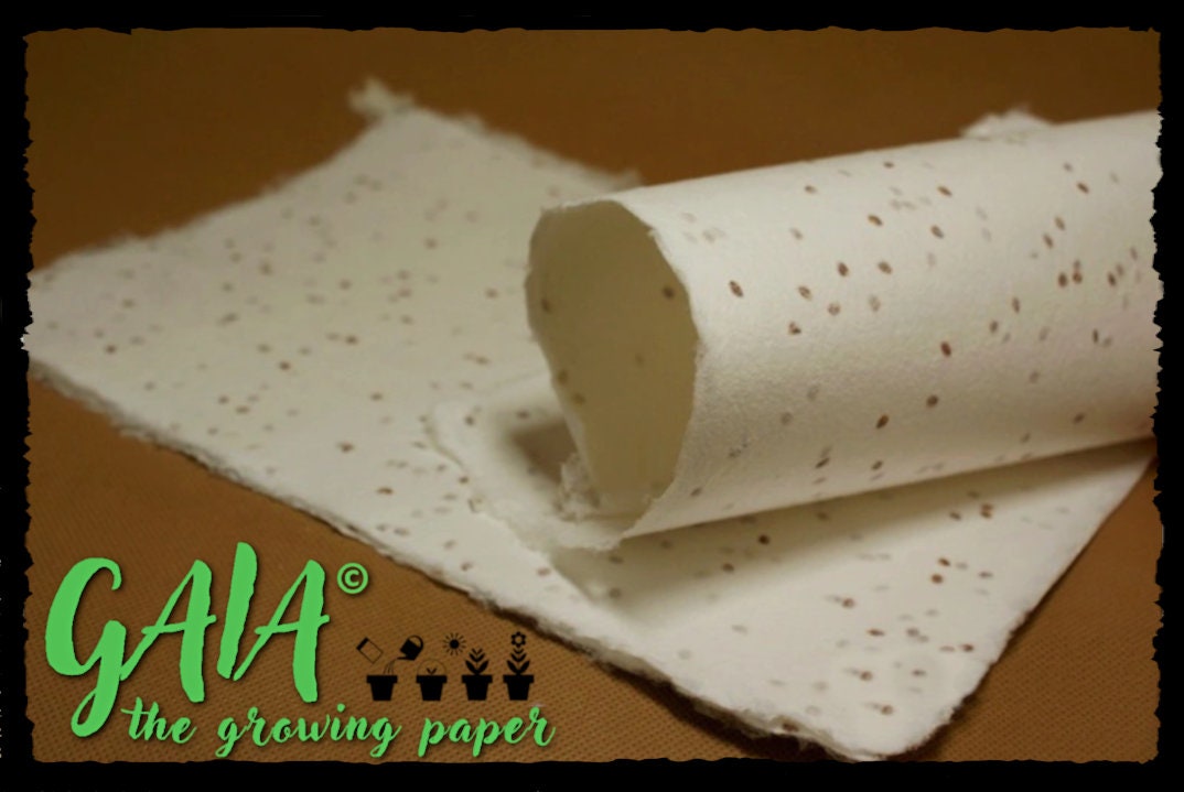 Send the Message to the Mother Earth, Magia Naturalis! Growing, hand made paper with seeds! Let your words bloom! Nature, Organic, Bio, Eco
