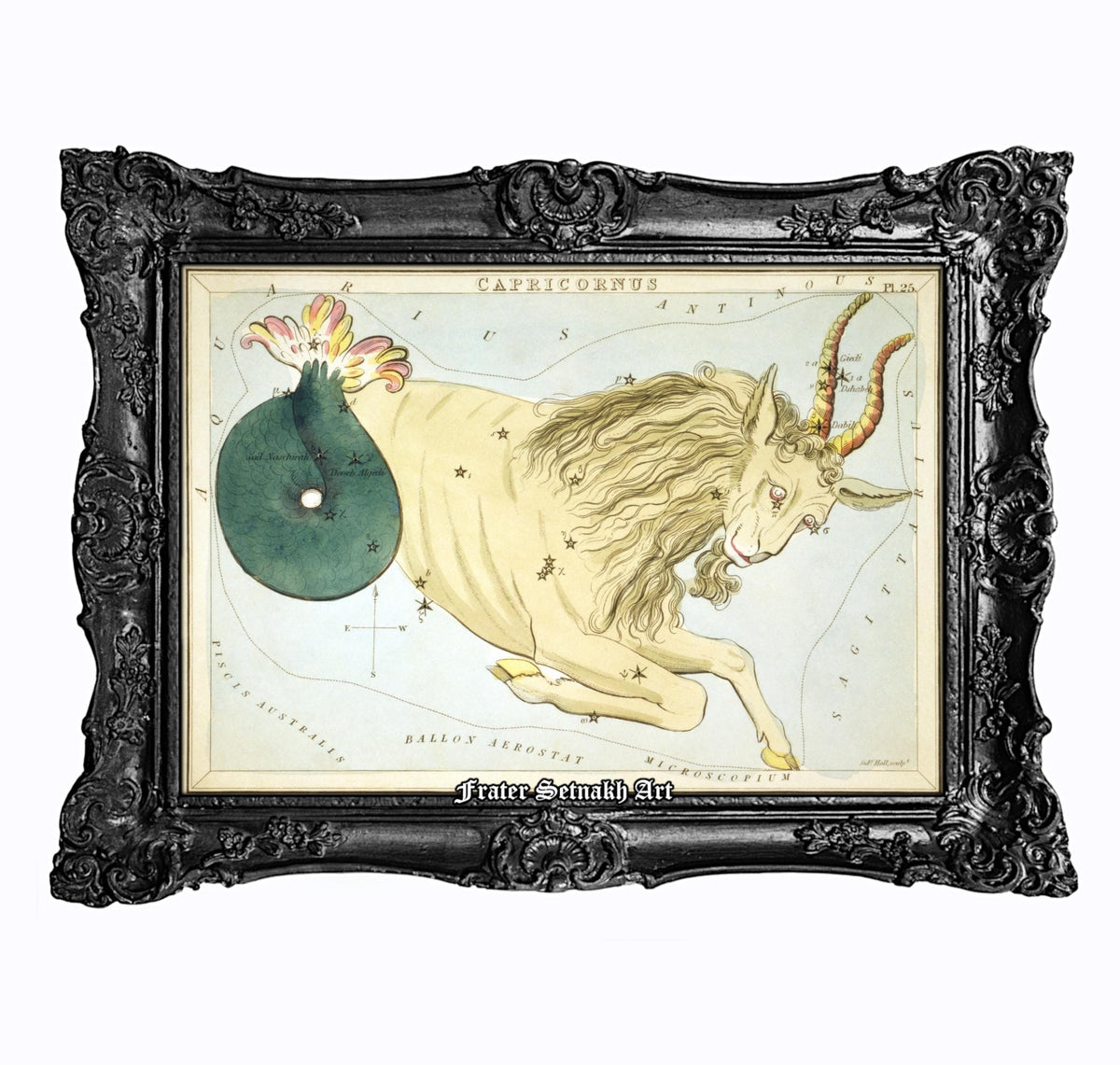 The image is a framed artwork depicting a stylized illustration of a zebra with horns, set against a starry night sky background.
