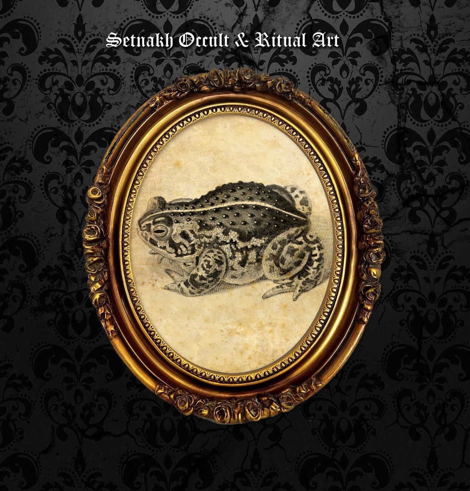 Toad - symbol of good luck and transition • spirit animal print • witchcraft poster • magic art • magic gift • pagan, wiccan home decor #119