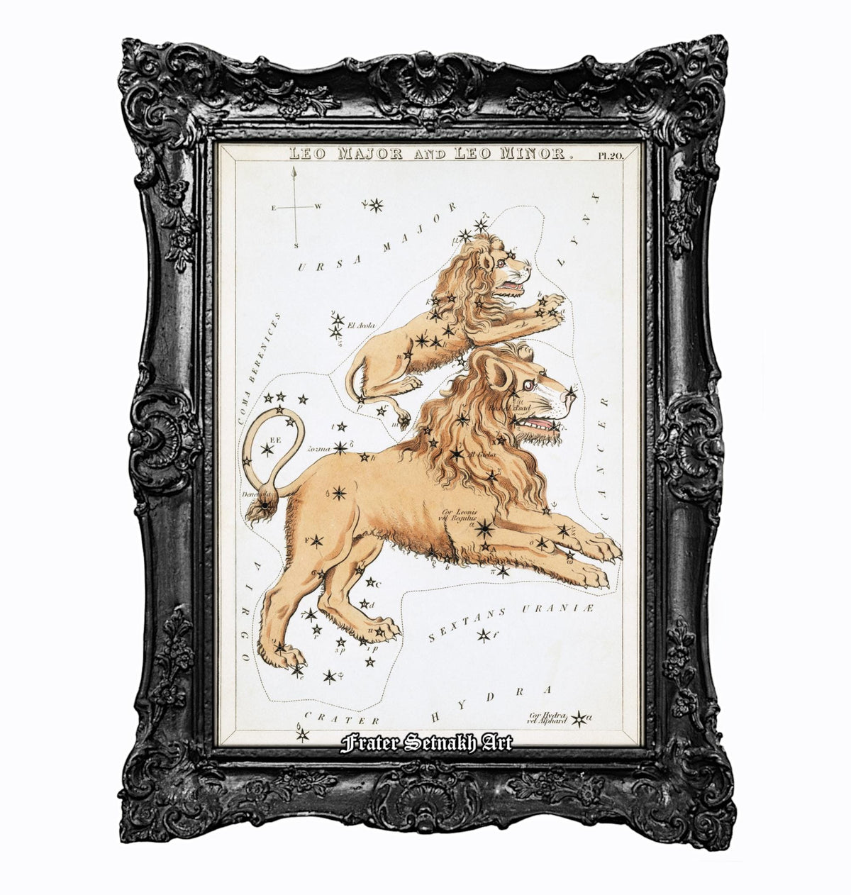 The image is a framed illustration depicting a lion and a constellation map.