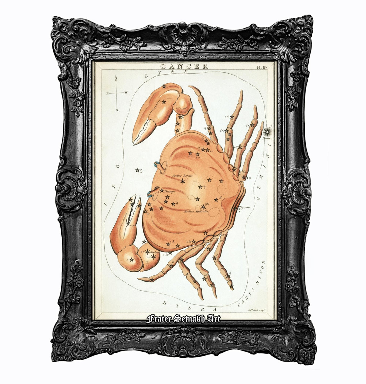 The image is a framed illustration of a crab with a star map of the zodiac.
