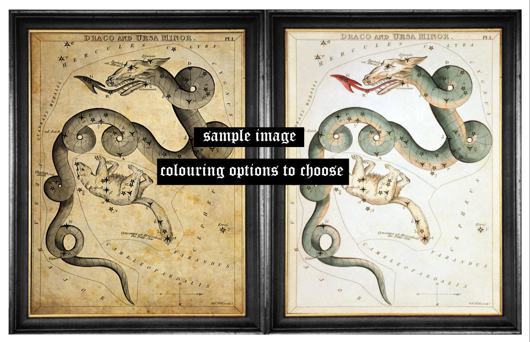 Scorpio Constellation print, Star art print, Zodiac, fantasy art, antiqued poster, celestial home decor, horoscope, sky, Universe #CE3.7