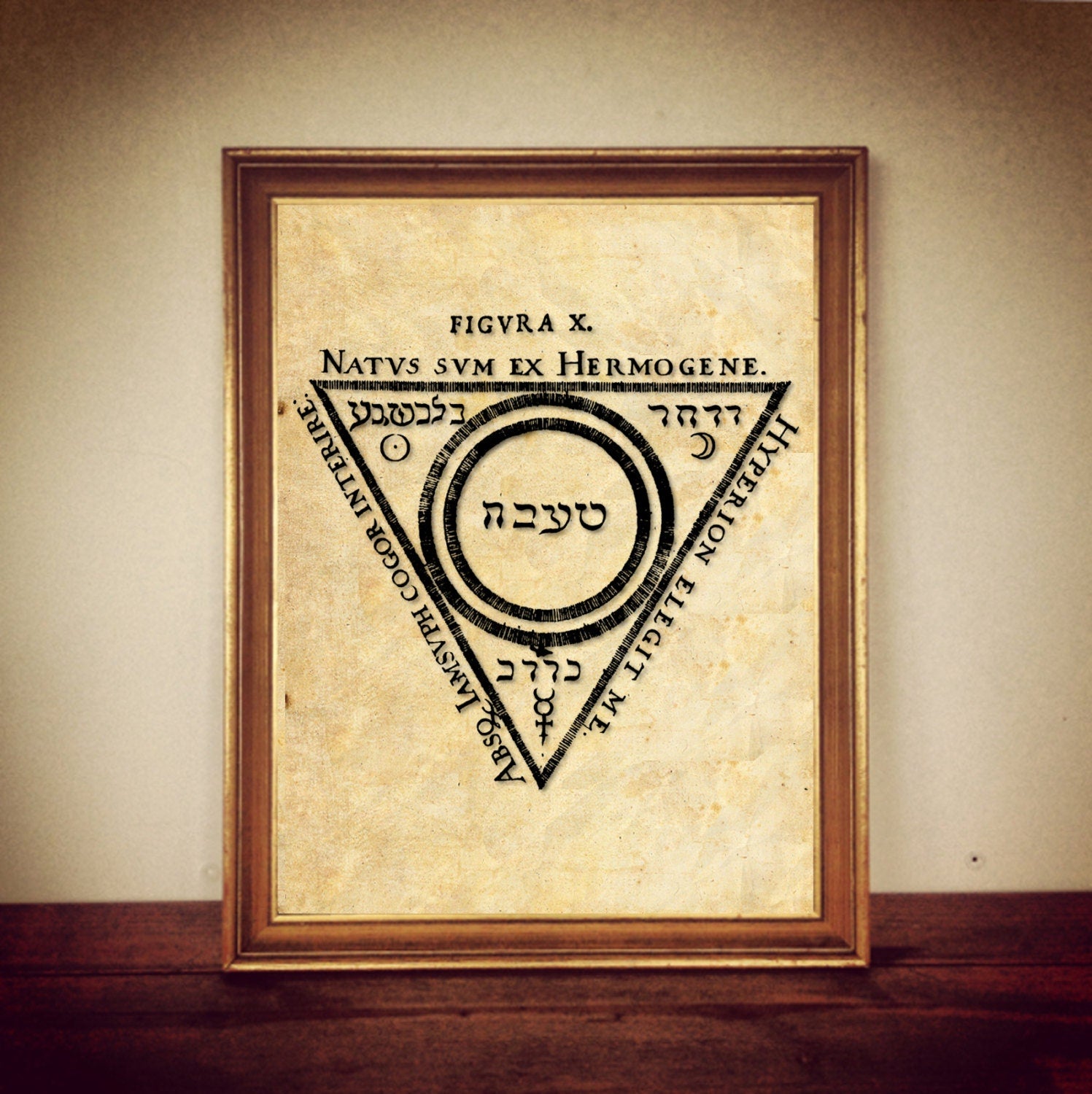 The Tenth Key of Basilius - "Vidarium Chymicum" | alchemical illustration, medieval, occult poster, magic art, esoteric home decor #397.10