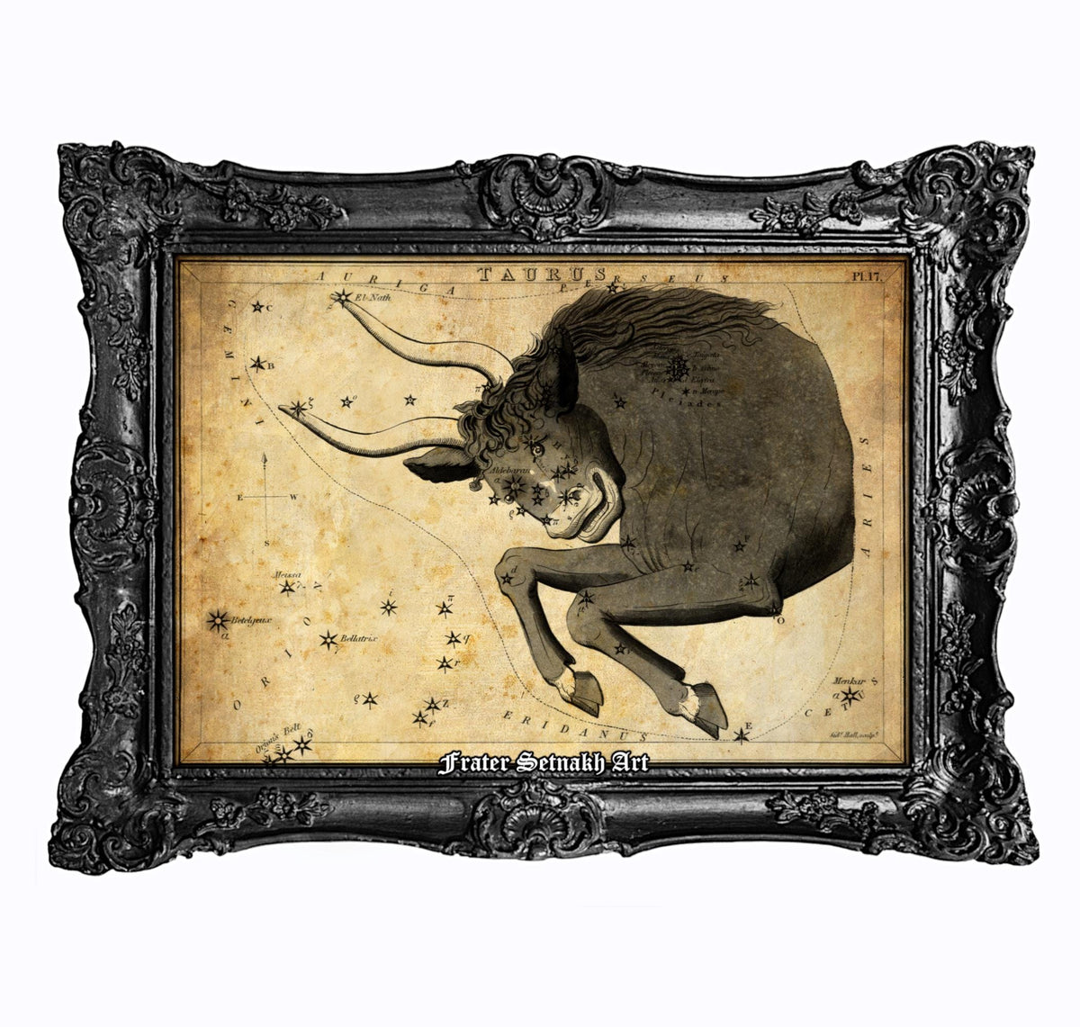 The image is a framed vintage astrological chart depicting a bull-like creature with horns and a curled tail, surrounded by stars and celestial bodies.