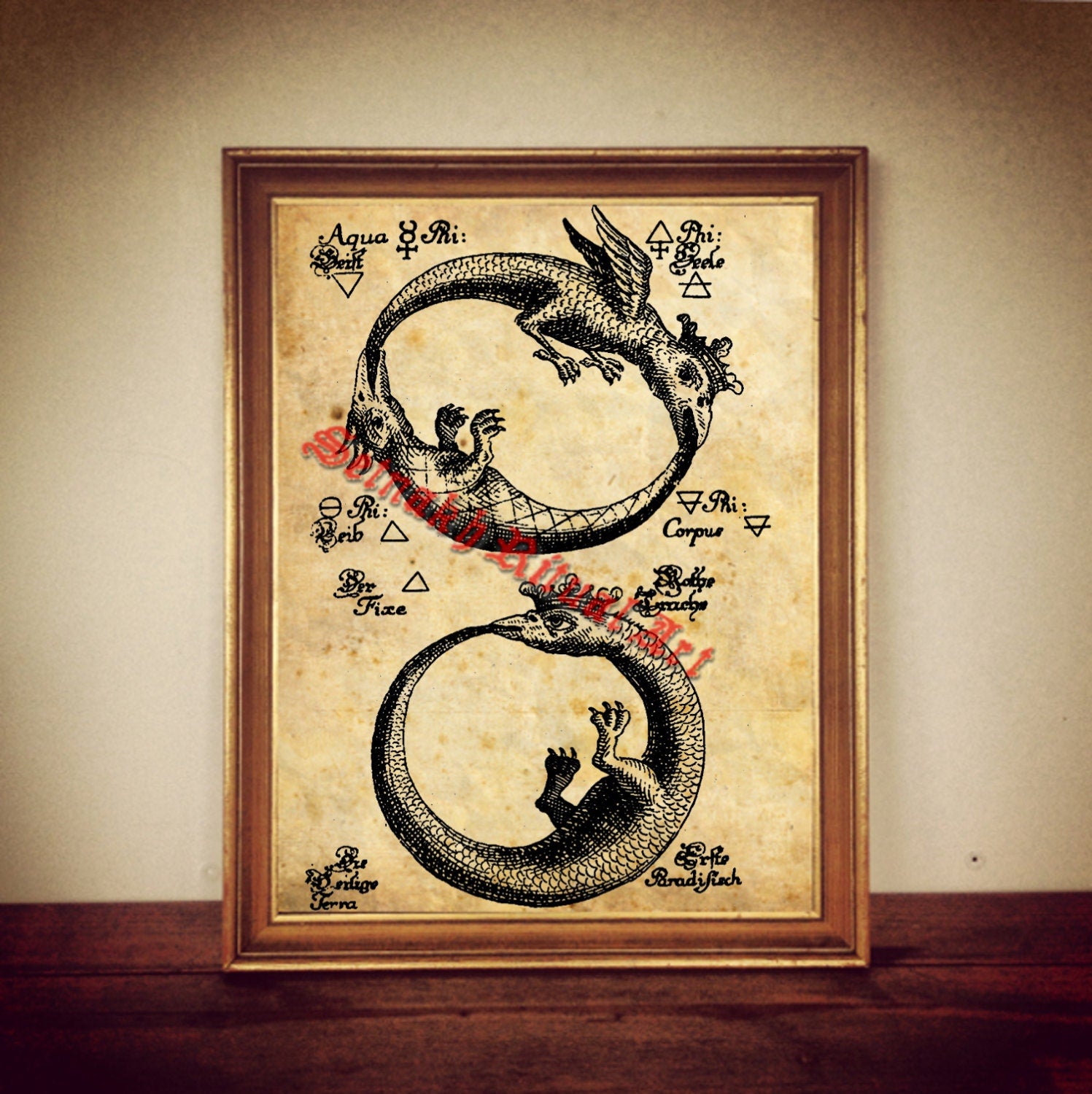 Ouroboros occult print, hermetic snake poster, gnostic symbol illustration, magic art, medieval poster, canvas, esoteric home decor, #220