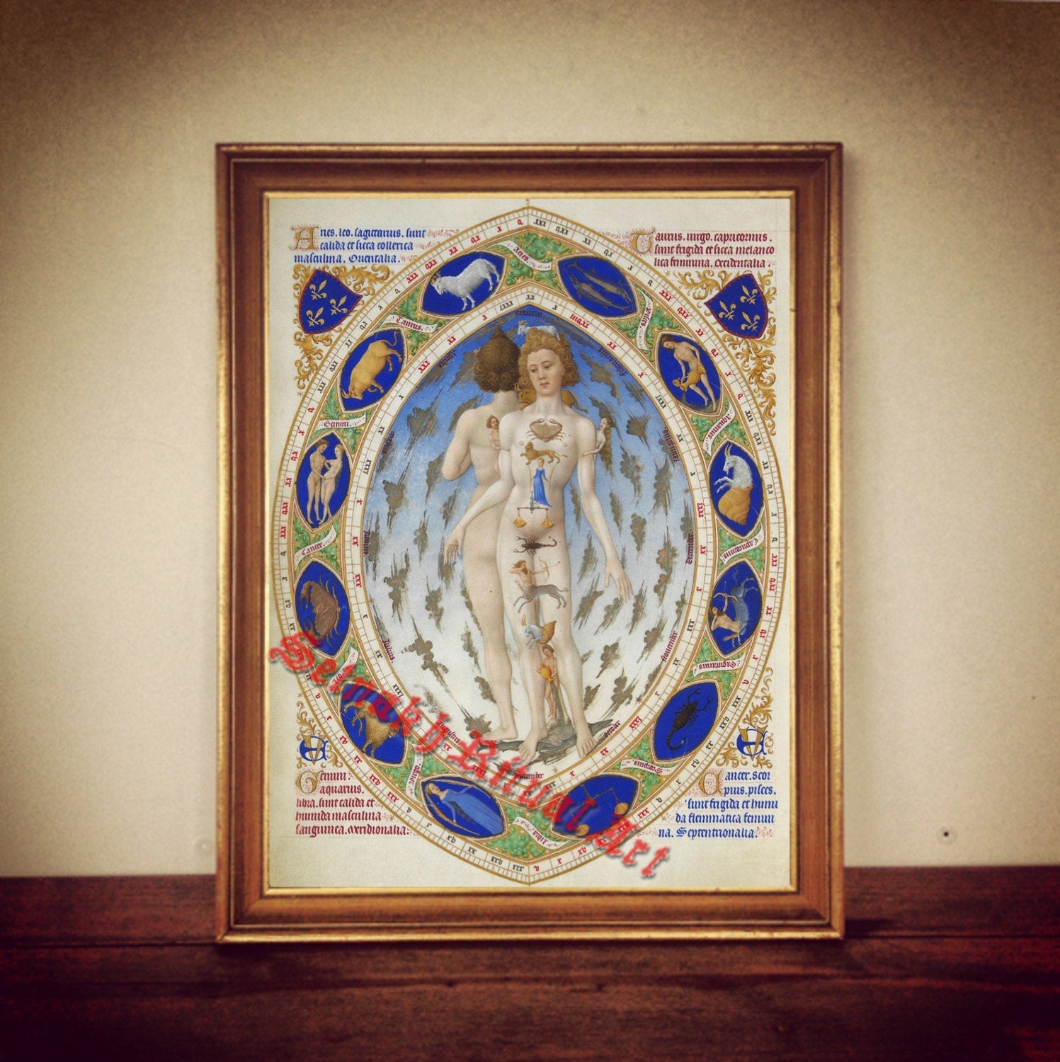 Anatomy of man | signs of zodiac sign of stars astrology | print illustration poster | occult antique vintage home decor |130