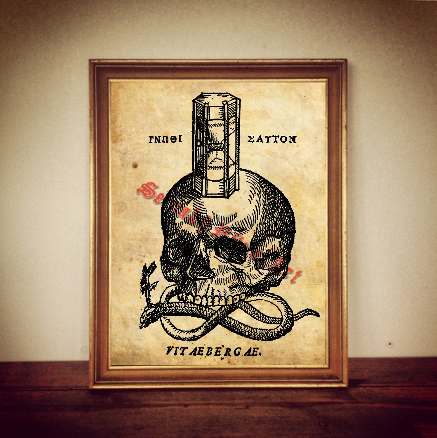 Skull print, snake illustration, death medieval woodcut, skeleton poster, gothic home, occult memento mori art #332