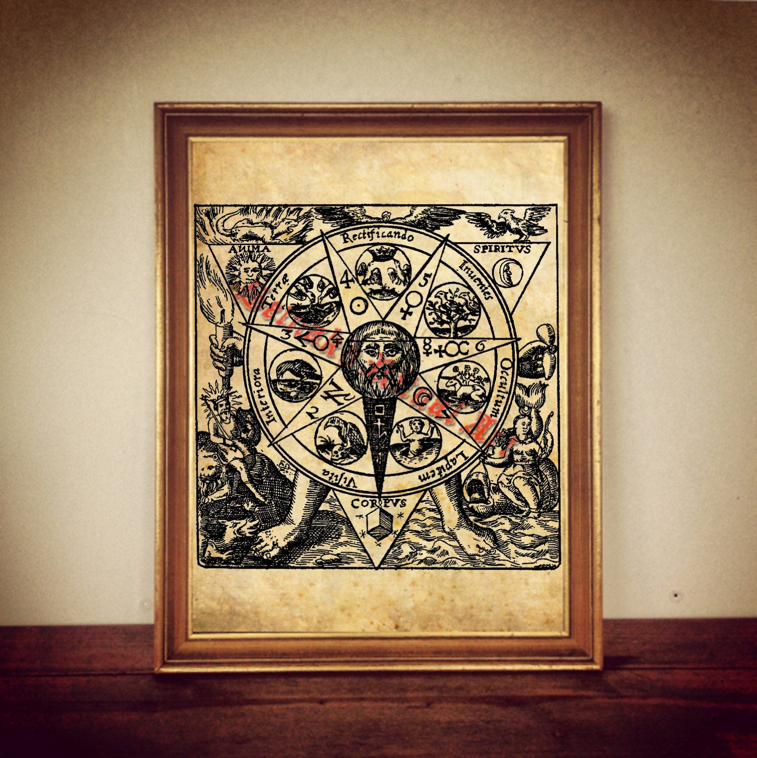 VITRIOL print, alchemy illustration, occult poster | occult print, magic poster antique rustic vintage home decor, altar 163