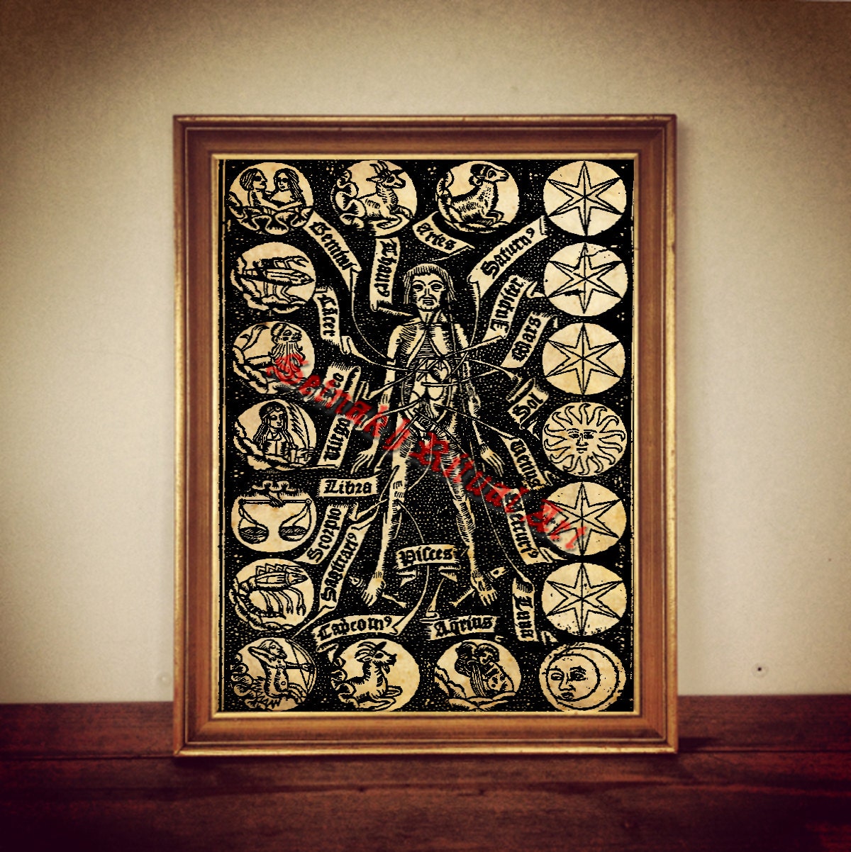Anatomy of man | signs of zodiac sign of stars astrology | print illustration poster | occult antique vintage home decor |131