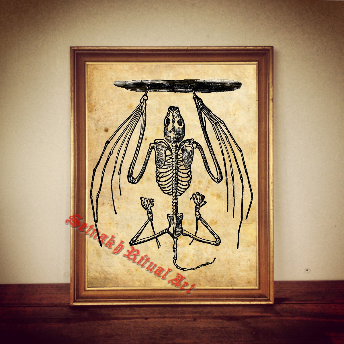 Bat skeleton print, vampire poster, hanging bat art, gothic, dark decor, victorian illustration, occult home decor, witchcraft, witch #19