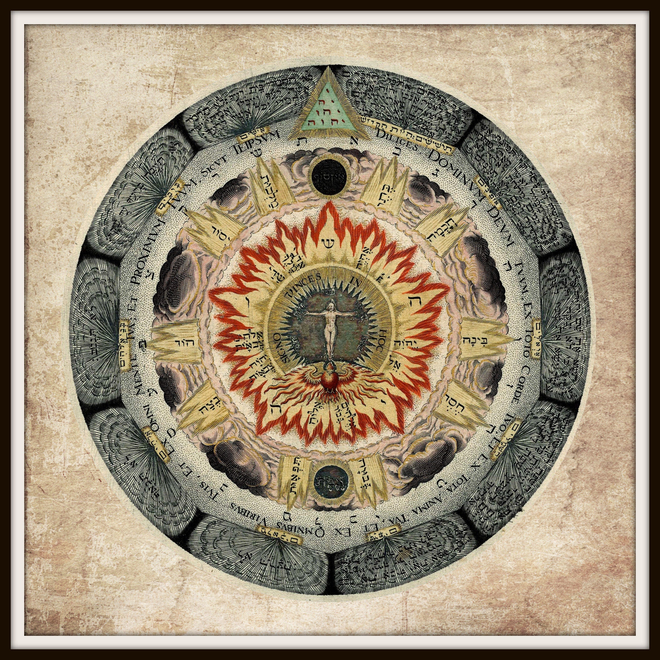 The Cosmic Rose print from Amphitheater of Eternal Wisdom, Alchemy, Christian Kabbalism, Hermetism, occult art, esoteric decor #A18