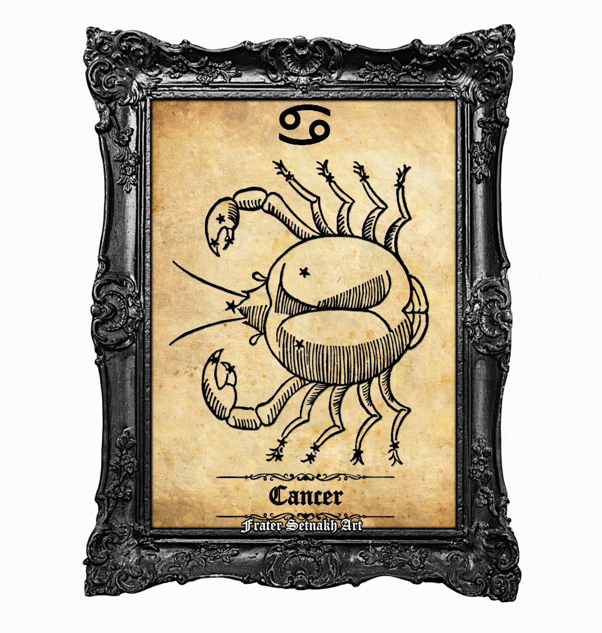 a framed illustration of a Cancer zodiac sign, which is a symbol of the zodiac sign Cancer.