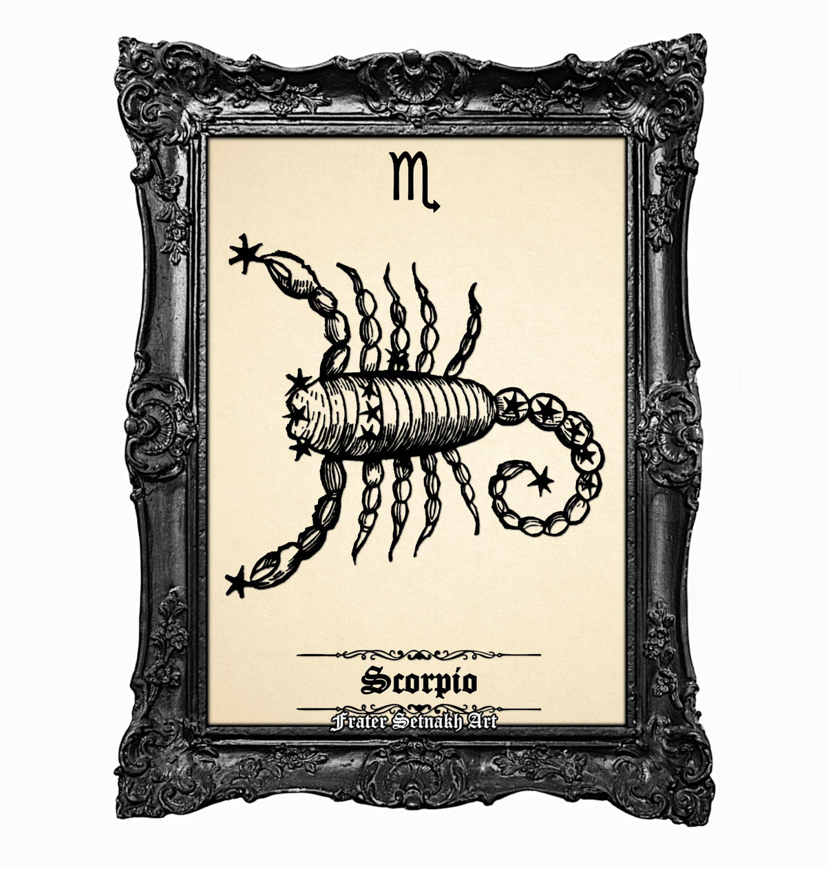 a framed illustration of a scorpion, which is a zodiac sign.