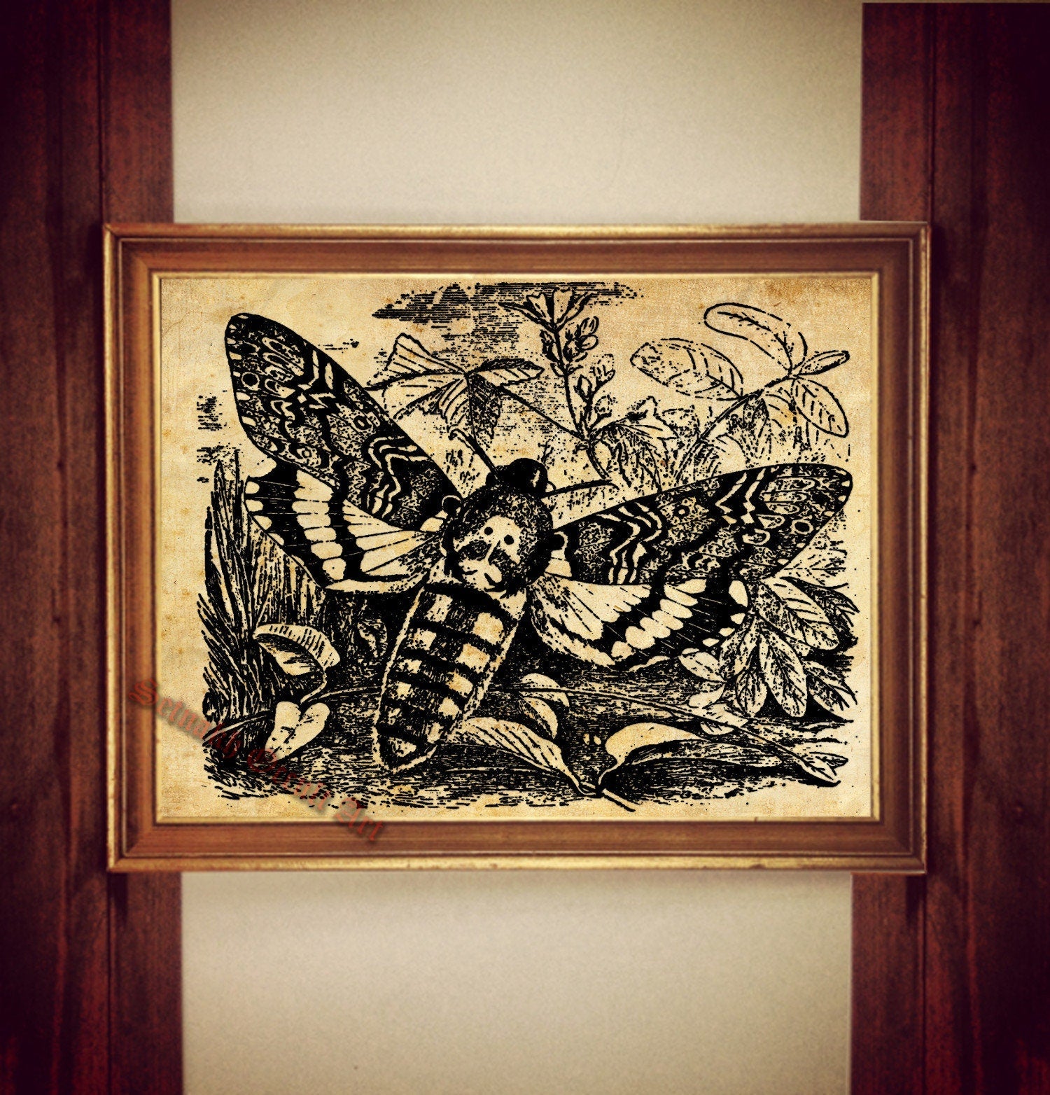 Skull moth print, moth poster, skull moth illustration, moth wall decor, death's-head Hawkmoth print, vintage moth decor #224