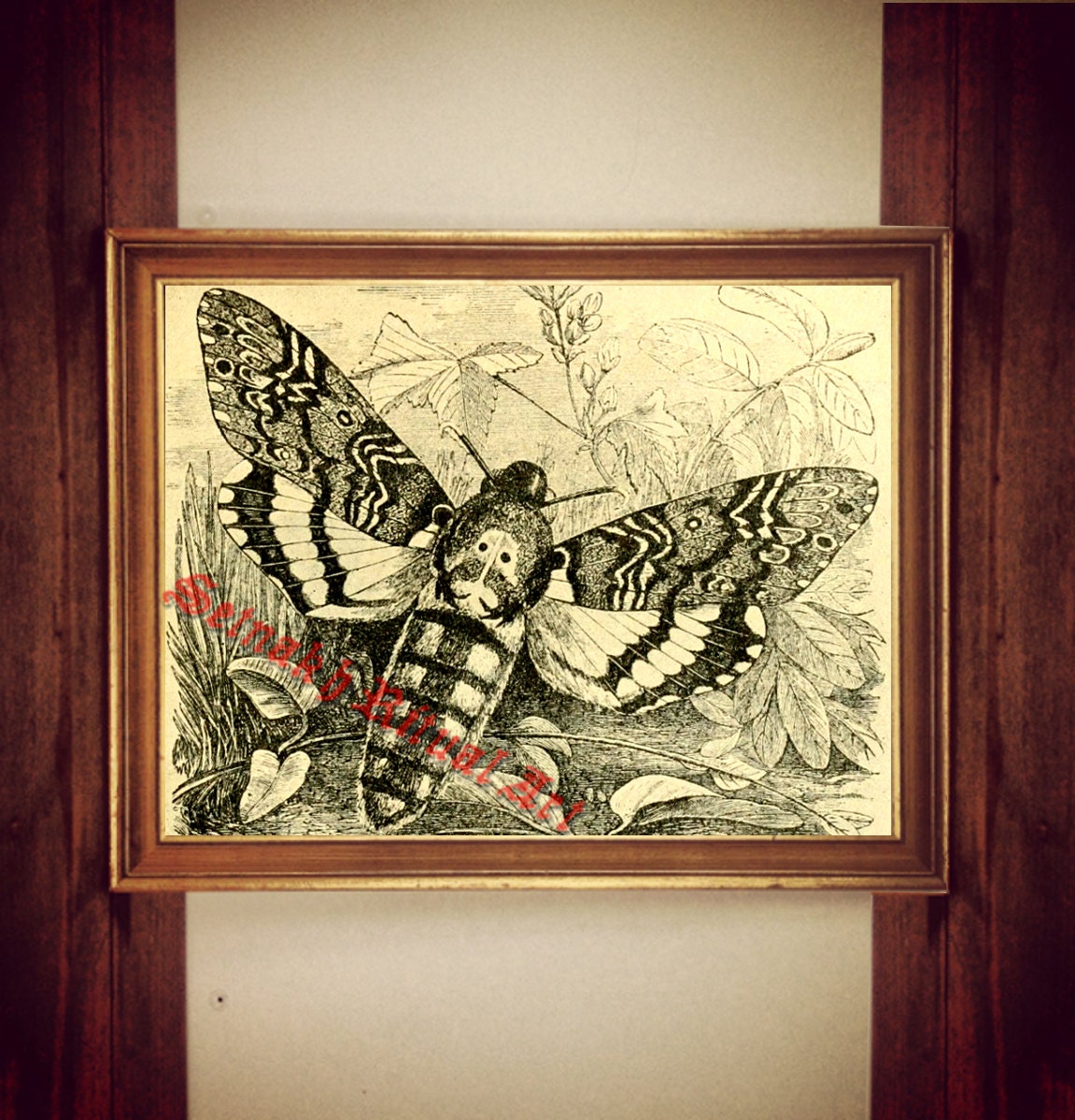 Skull moth print, moth poster, skull moth illustration, moth wall decor, death's-head Hawkmoth print, vintage moth decor #224