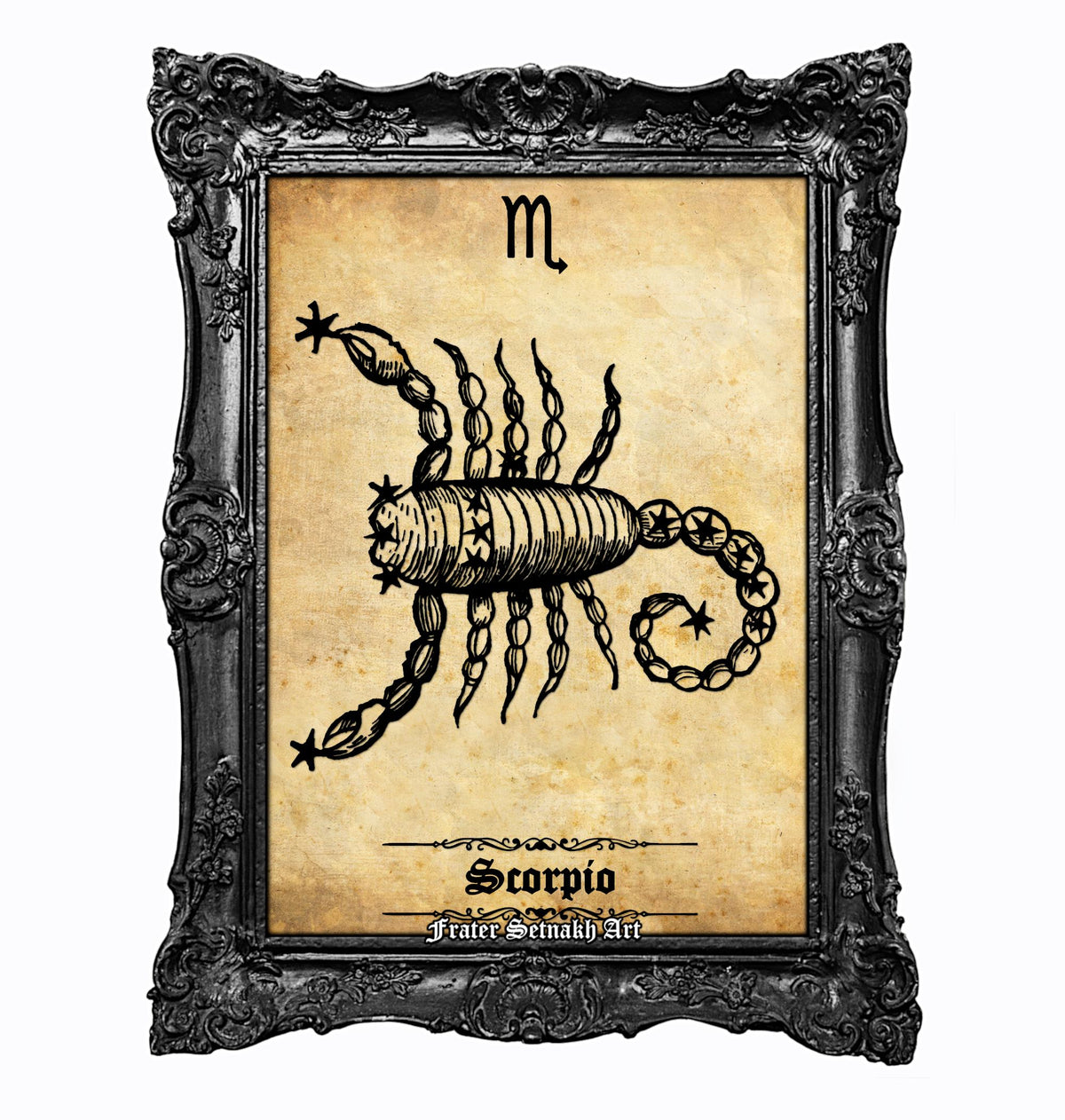 a framed illustration of a scorpion, which is a zodiac sign.