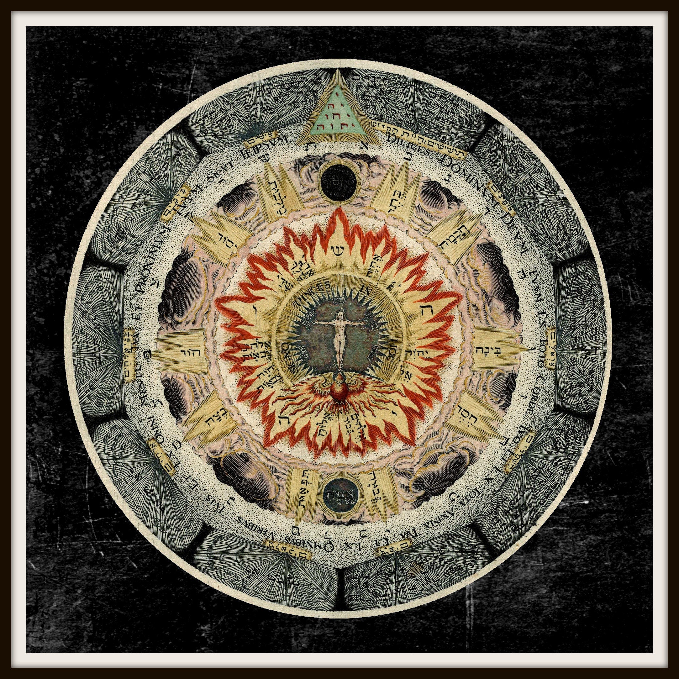 The Cosmic Rose print from Amphitheater of Eternal Wisdom, Alchemy, Christian Kabbalism, Hermetism, occult art, esoteric decor #A18