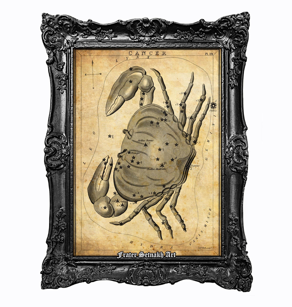 a framed illustration of a crab with star patterns on its body, set against a vintage-style background.