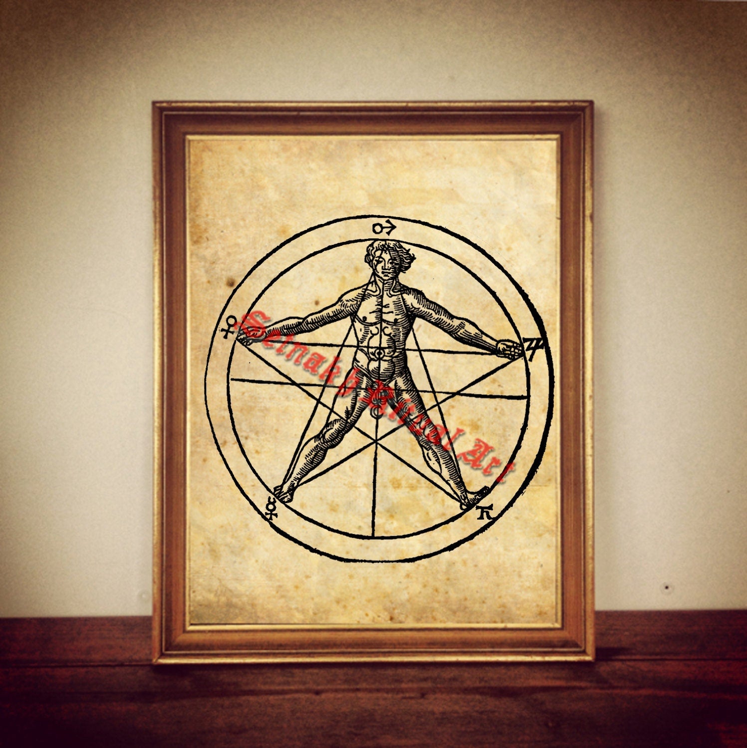 Man in magic circle print, Cornelius Agrippa, magical poster, medieval picture, occult art, symbol, pentacle poster, wall decor #363.1